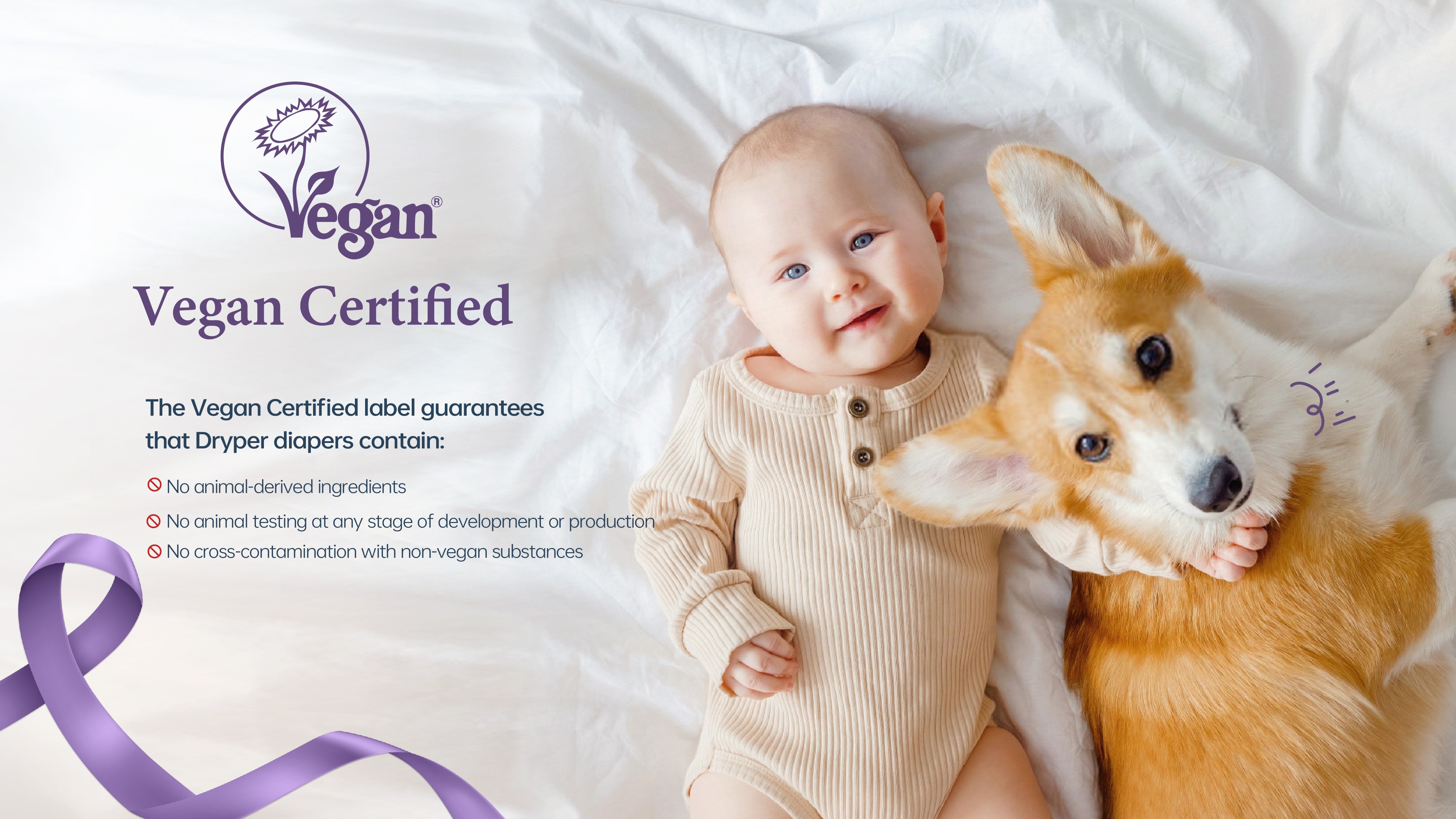 MetInfo enterprise content manager system | MetInfo CMS