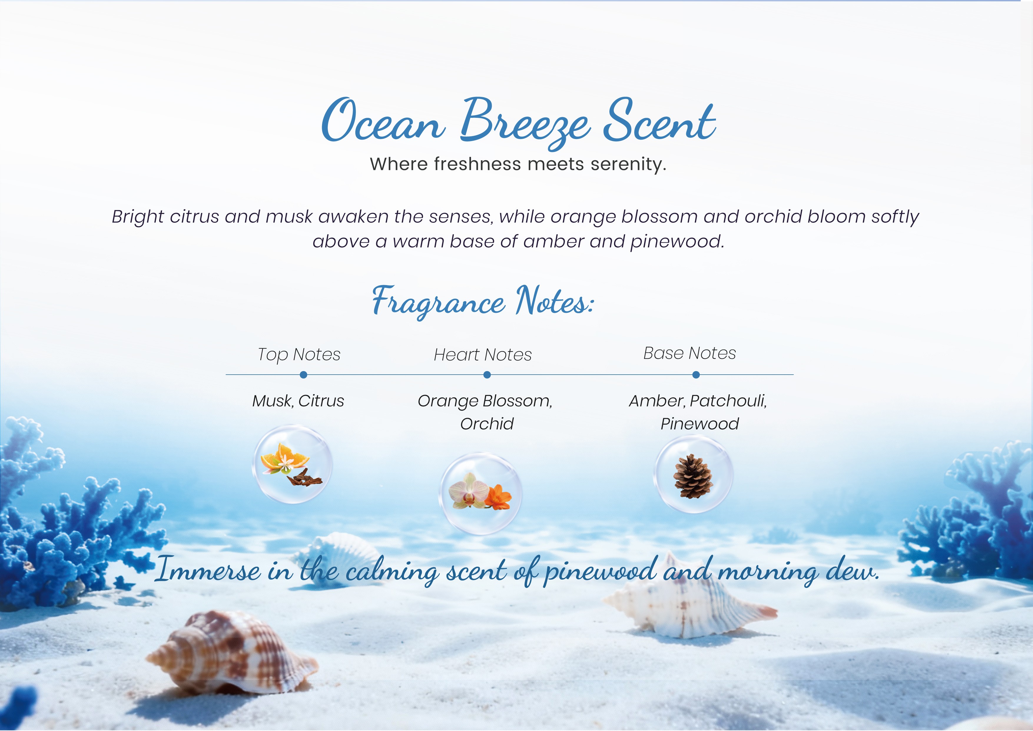 MetInfo enterprise content manager system | MetInfo CMS