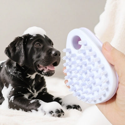 Pet Grooming & Care