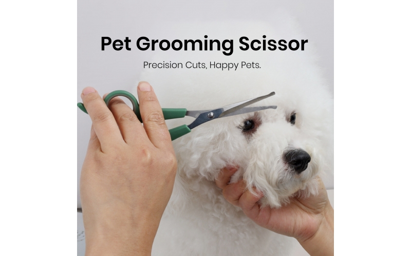 St Future Pet Grooming Scissor  distributor industrial quotation OEM / ODM