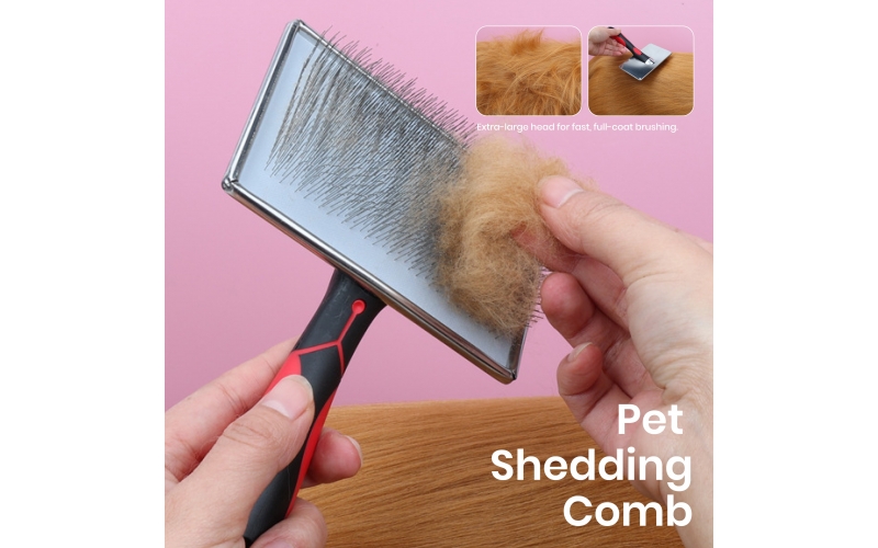 St Future Pet Shedding comb distributor industrial quotation OEM / ODM